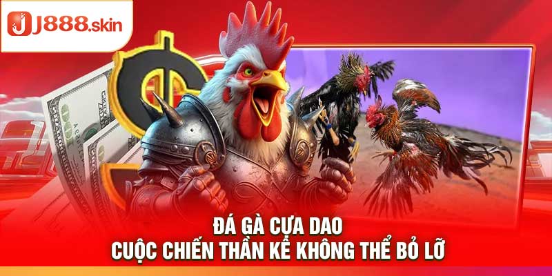 Đá Gà Cựa Dao – Cuộc Chiến Thần Kê Không Thể Bỏ Lỡ