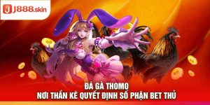 Đá Gà Thomo – Nơi Thần Kê Quyết Định Số Phận Bet Thủ